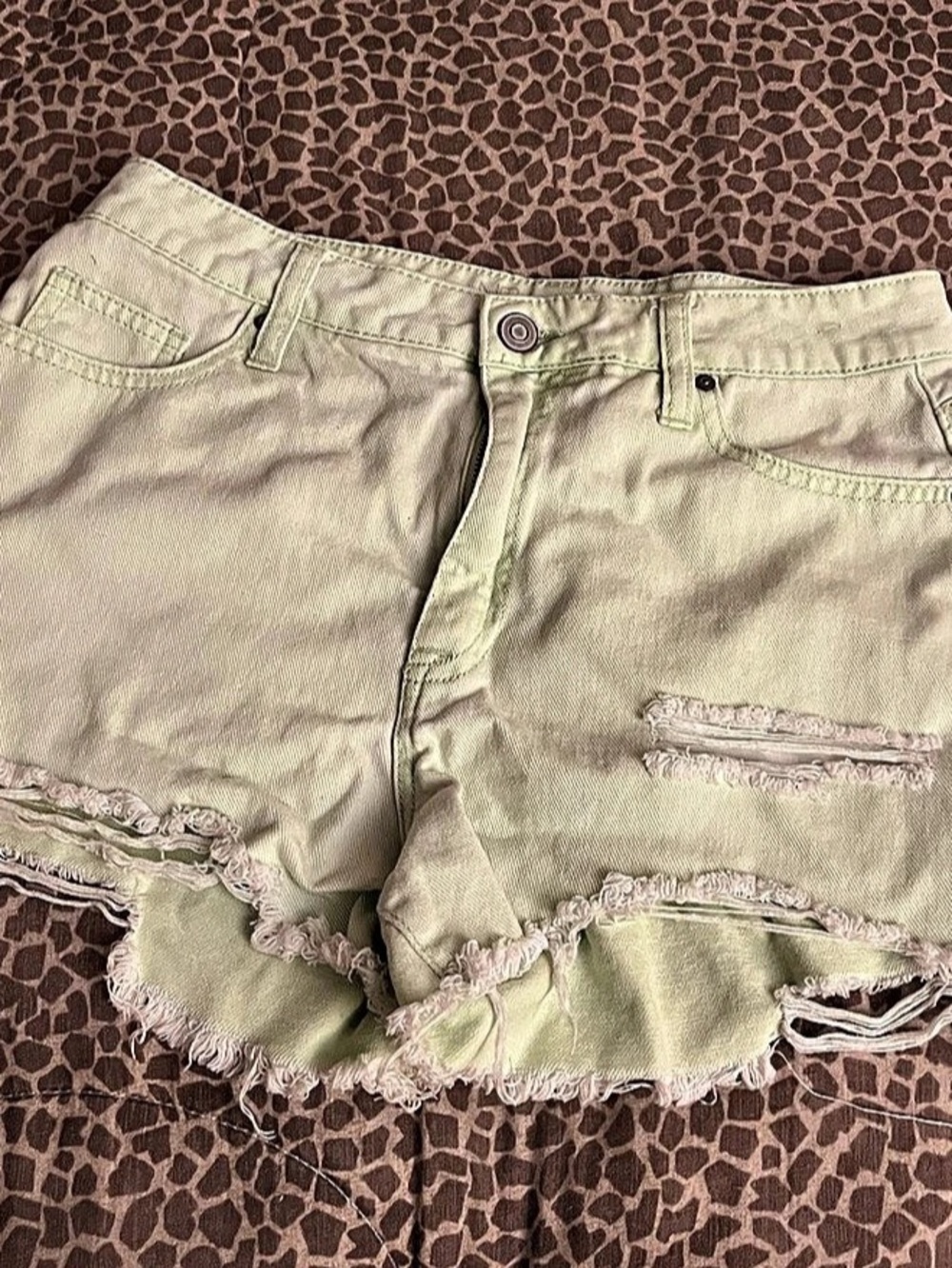 Distressed Jean Shorts in Green